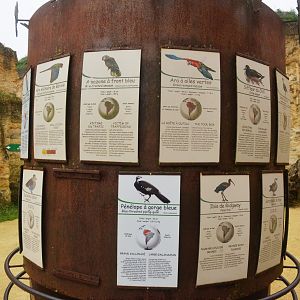 Great South American Aviary at Doué-la-Fontaine, 15/06/18