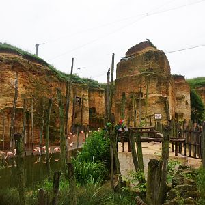 Great South American Aviary at Doué-la-Fontaine, 15/06/18