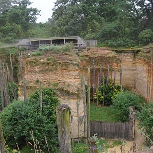 Great South American Aviary at Doué-la-Fontaine, 15/06/18