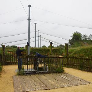 Great South American Aviary at Doué-la-Fontaine, 15/06/18