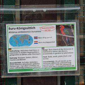 Buru King Parrot Signage