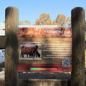 Kalahari Red Goat Signage
