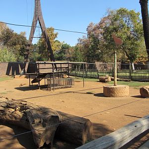 Kalahari Red Goat Yard