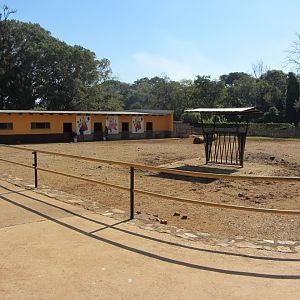 Nguni Cattle/Draft Donkey Yard