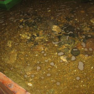 Limfjordsmuseet - Main building - Touch pool