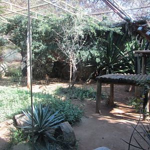 African Leopard Enclosure