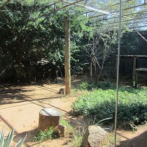 African Leopard Enclosure