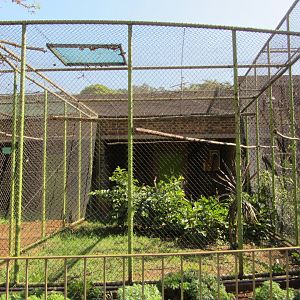 Blue-winged Macaw Aviary