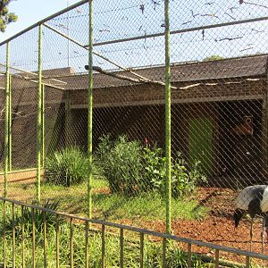 Wattled Crane Aviary