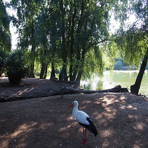 View of walk-through bird area (Sep 2nd, 2018)
