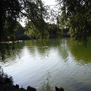 View of pelican lake (Sep 2nd, 2018)