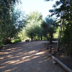 Pathway in walk-through bird aviary (Sep 2nd, 2018)