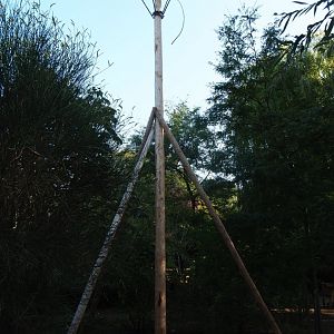 White stork nest (Sep 2nd, 2018)