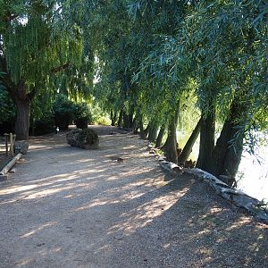 Waterside walkway (Seo 2nd, 2018)