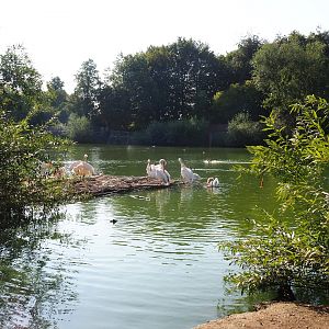 Pelican lake (Sep 2nd, 2018)