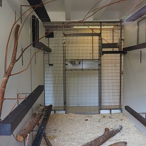 Indoor lemur housing (Sep 2nd, 2018)