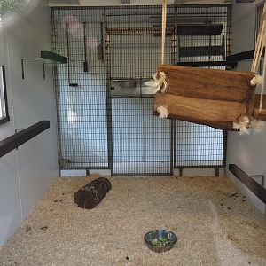 Indoor lemur housing (Sep 2nd, 2018)