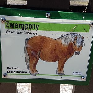 Sign Pygmy pony
