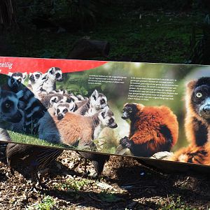 Bachelor groups sign (Sep 2nd, 2018)