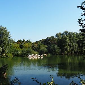 Pelican lake (Sep 2nd, 2018)