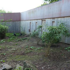 Madagascar area bird house (Sep 2nd, 2018)