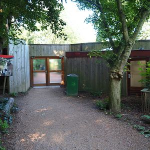 Madascar area exit and bird house (Sep 2nd, 2018)