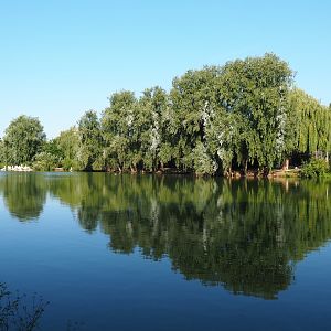 Pelican lake (Sep 2nd, 2018)