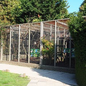 Block of aviaries (Sep 2nd, 2018)