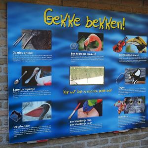 Funny faces sign (Sep 2nd, 2018)