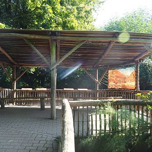 Australian exhibit viewing shelter (Sep 2nd, 2018)