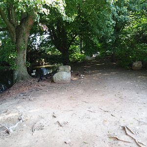 Australian exhibit (Sep 2nd, 2018)