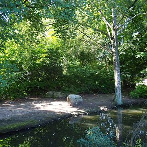 Australian exhibit (Sep 2nd, 2018)