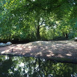 Australian exhibit (Sep 2nd, 2018)