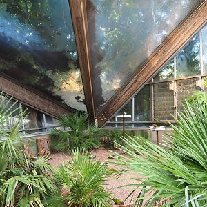 Bird feeding area (Sep 2nd, 2018)