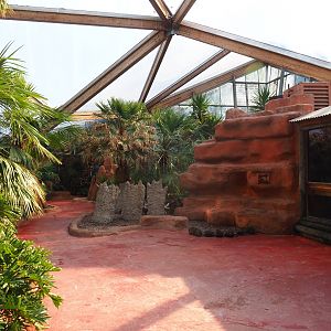 Lorikeet Landing walk-through (Sep 2nd, 2018)