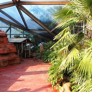 Lorikeet Landing walk-through (Sep 2nd, 2018)