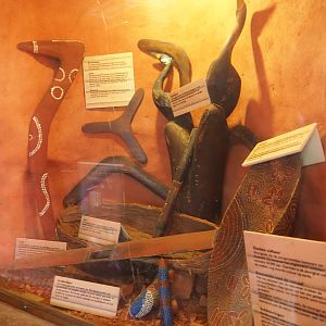 Aboriginal stuff display case (Sep 2nd, 2018)