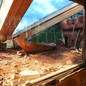 Masked lapwing area underneath the roof structure (Sep 2nd, 2018)