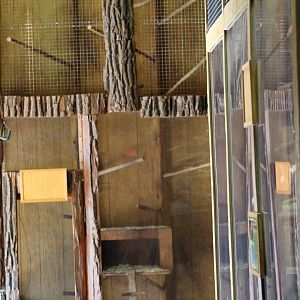 Small Mammal Enclosure