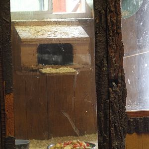 Night-Monkey Enclosure