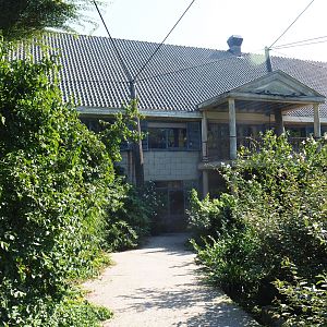 Cuban aviary (Sep 2nd, 2018)