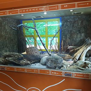 Enclosure Children's python