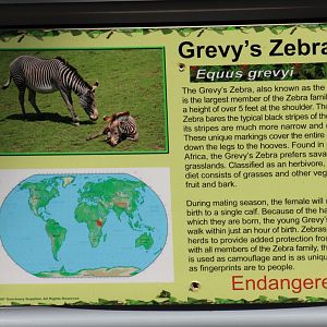 Grant's Zebra Signage