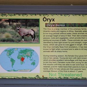 Scimitar-Horned Oryx Signage