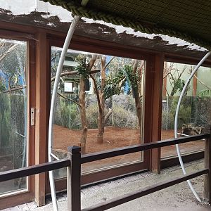 Koala-enclosure