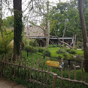 Lemur Walk-through  from the outside