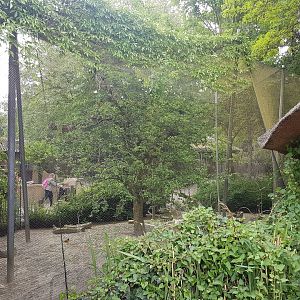 Weaver - Tauraco aviary