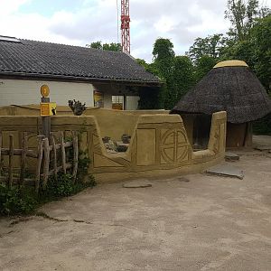 Enclosure under construction