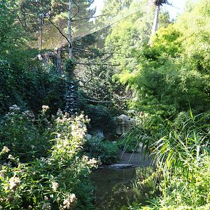 Cuban aviary (Sep 2nd, 2018)