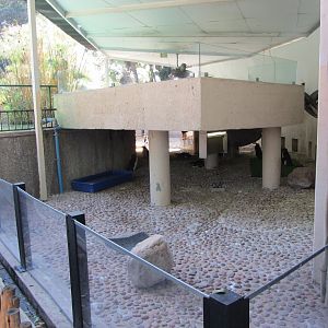 Part of the African Penguin Exhibit